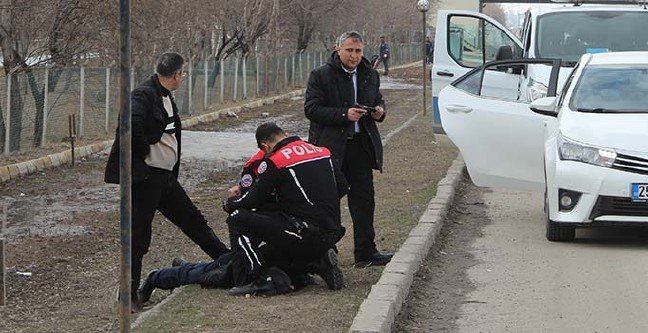 ana-manset-1553607336 19-03/26/ana-manset-1553607336.jpg