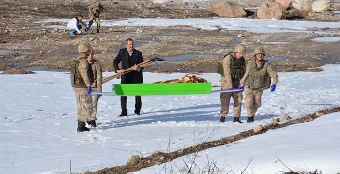 Ordu’da damat dehşeti: Kayınpederini öldürüp ormana attı