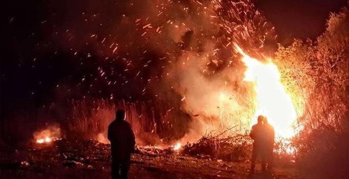 İznik Gölü kıyısında sazlık alanda yangın: Bazı evler boşaltıldı
