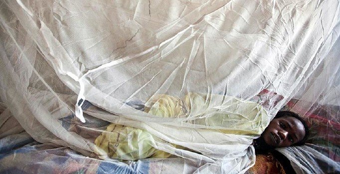 Nijerya'da 'Lassa sıtması' 114 can aldı