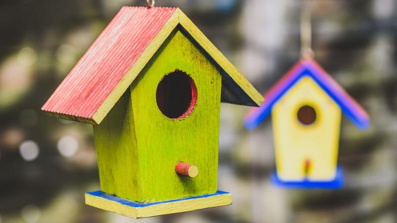 Çocuklar rengarenk kuş evleri yapacak, ücretsiz tiyatro izleyecek