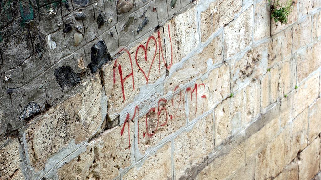 2019041513542793_fef0vu0ihb73uqm8e0c4hm9v571