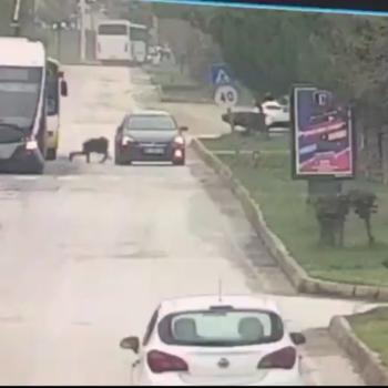 TRAMBÜSTEN İNEN KIZA OTOMOBİLİN ÇARPTIĞI KAZA GÜVENLİK KAMERASINDA