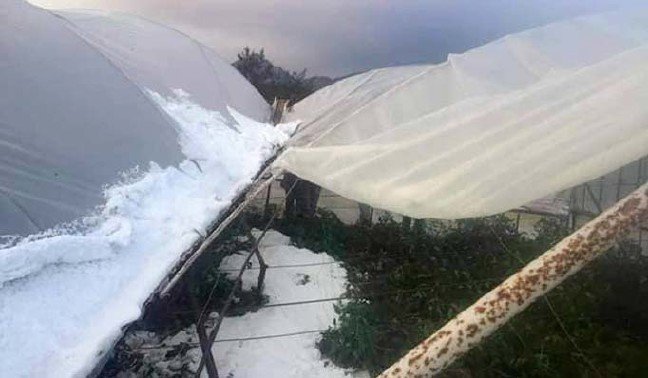 dolu-1-1 19-04/19/dolu-1.jpg