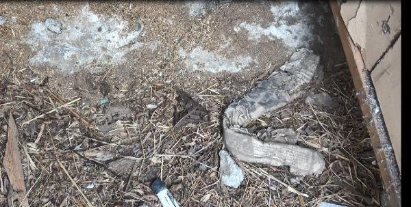 fab16ccc14aea57d16f848d6158c8913