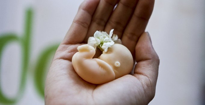 Grönland'da kürtaj oranları doğum oranlarını geçti