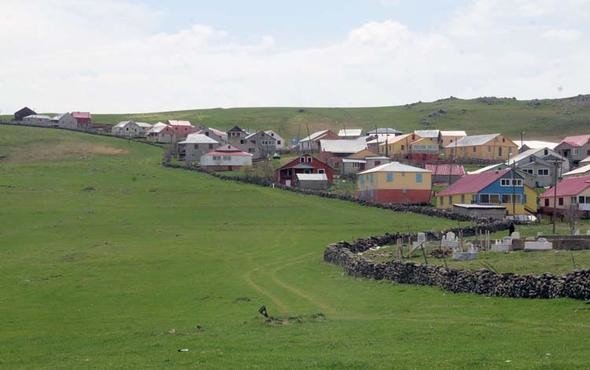 2-1558433349 19-05/21/2-1558433349.jpg