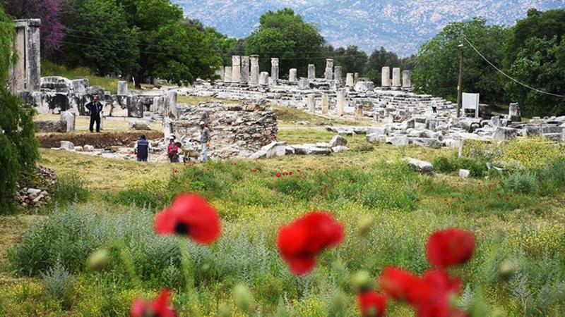 İki bin yıllık sütunlar ayağa kaldırılıyor