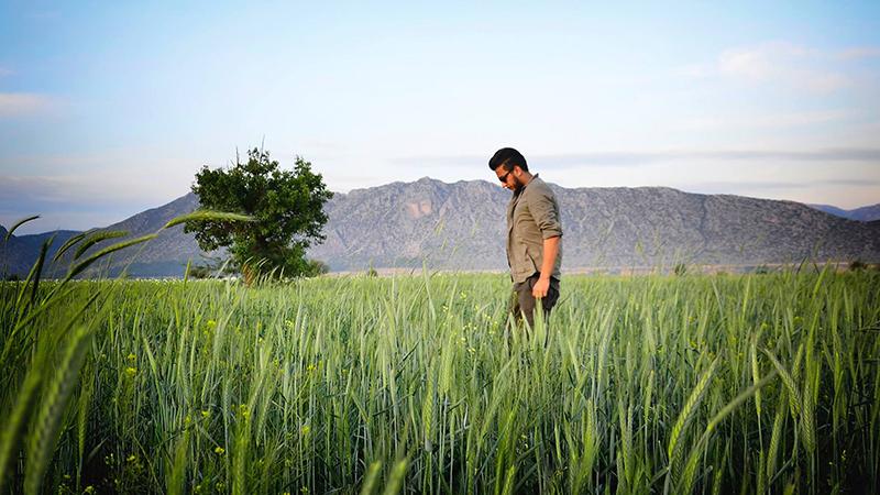Herkes 'ağaç tartışması' dedi, işte arkeolog cinayetinin perde arkası