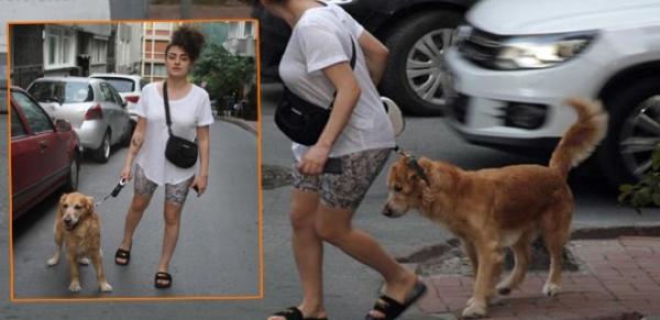 Dilan Çıtak Tatlıses'in inatçı köpeğiyle imtihanı