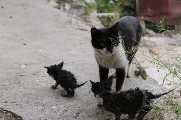 9dc2dea833803516567e1bf7eeec764f