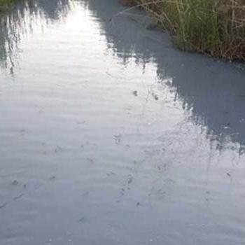 Mavi akmaya başlayan dereye kimyasal atık döküldü iddiası