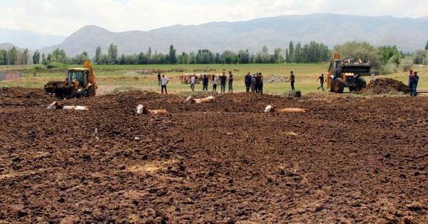 1ff67f862638a87664cc6fd5e1d357a8-1561210465 19-06/22/1ff67f862638a87664cc6fd5e1d357a8-1561210465.jpg