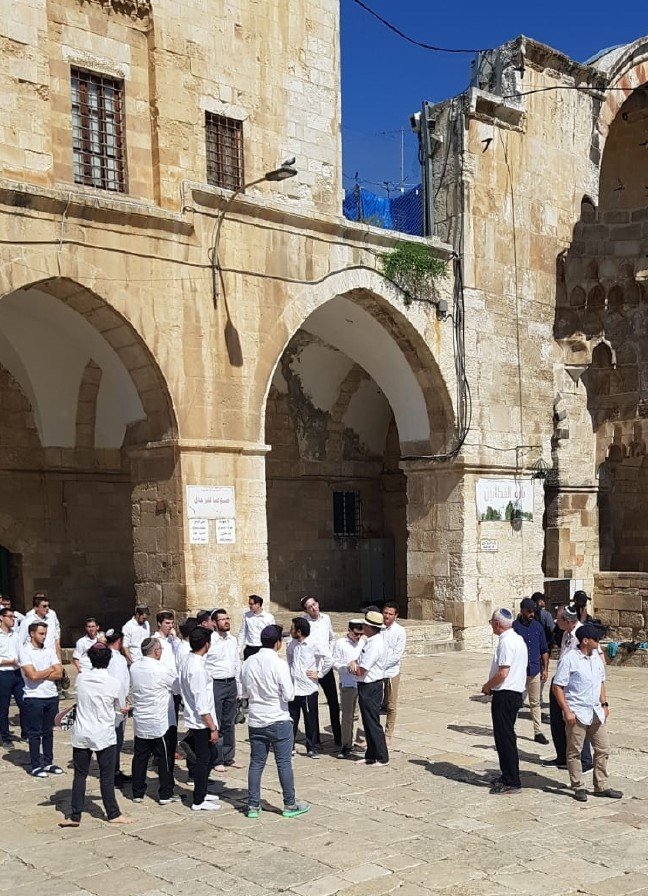 20190611_2_36827140_45197037 19-06/11/20190611_2_36827140_45197037.jpg