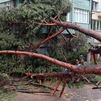 Meteoroloji'den 'sıcak yüzey' uyarısı: Dolu, fırtına ve hortum şiddeti artacak
