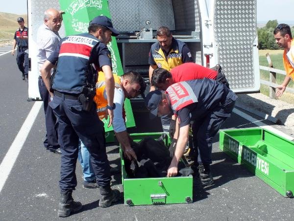 dfbdc165278f600fdf516d6ee71e42ab