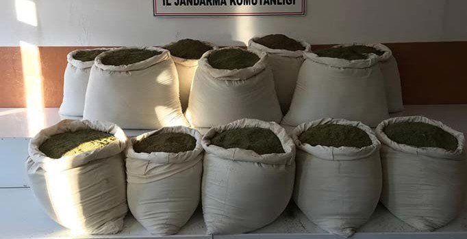 Diyarbakır'da 1 milyon kök Hint keneviri ele geçirildi