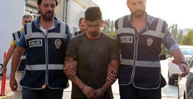 ee-1 19-06/19/ee-1.jpg