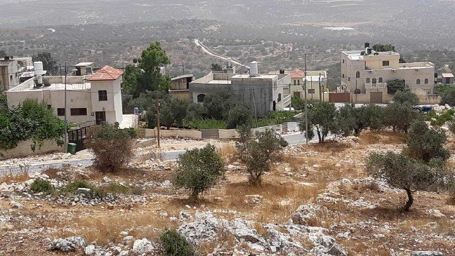 20190717_abd_a_rahman_a_shteiwi2 19-07/21/20190717_abd_a_rahman_a_shteiwi2.jpg