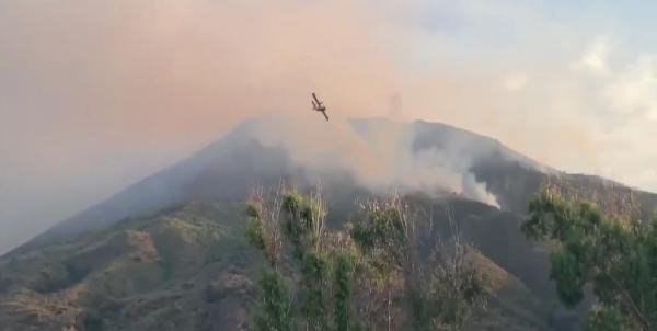 25abee4d7438e9ddb22897640790d85b