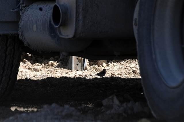 5d1b3f7dc03c0e277013c71d 19-07/02/5d1b3f7dc03c0e277013c71d.jpg