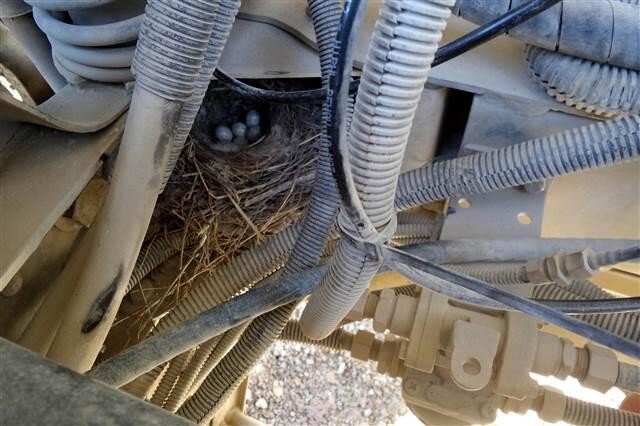 5d1b3f88c03c0e277013c71f 19-07/02/5d1b3f88c03c0e277013c71f.jpg