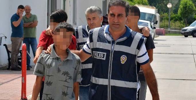 Hamile kediyi pitbulla parçalatan çocuklardan şok sözler