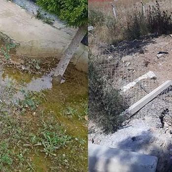 Urla Zeytinalanı Mezarlığı'ndaki bakımsızlık vatandaşı isyan ettirdi