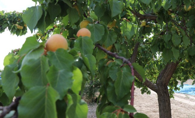 aw745240_01 19-07/03/aw745240_01.jpg