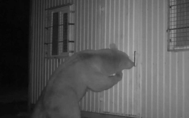 aw745682_01 19-07/04/aw745682_01.jpg