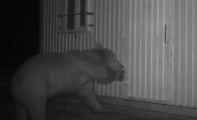 aw745682_02 19-07/04/aw745682_02.jpg