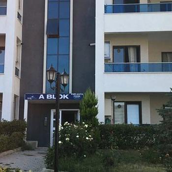 Bursa'da cani baba dehşet saçtı