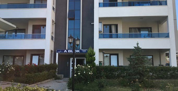 Bursa'da cani baba dehşet saçtı