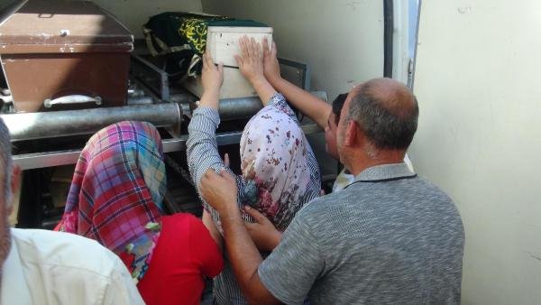 dc045338d66215c932f382b0a16ed233