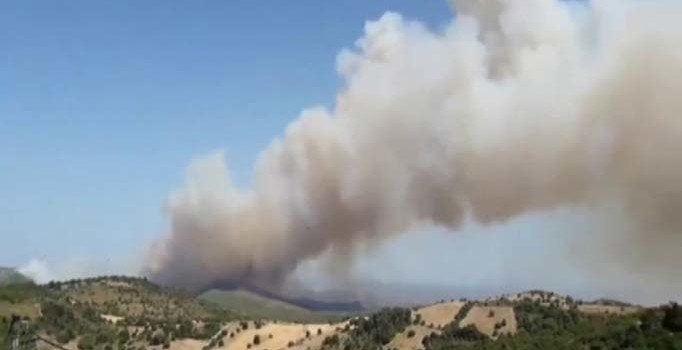 Yunanistan'da yangın nedeniyle 4 köy boşaltıldı