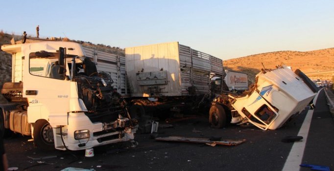 Küçükbaş yüklü TIR'a başka bir TIR çarptı, 3 kişi yaralandı, onlarca hayvan öldü