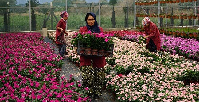 ana-manset-1564917669 19-08/04/ana-manset-1564917669.jpg