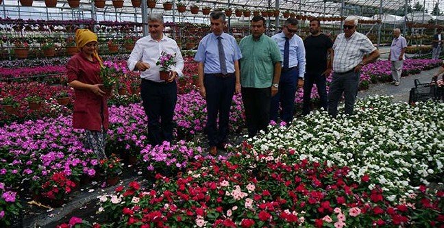 ana-manset-1564917695 19-08/04/ana-manset-1564917695.jpg