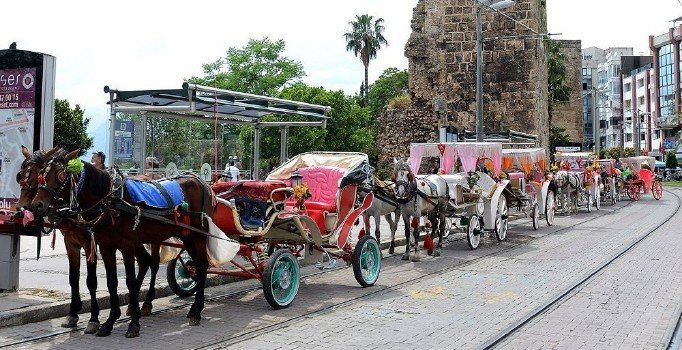 Adalar'da faytoncular ile akülü araç işletmecileri birbirine girdi