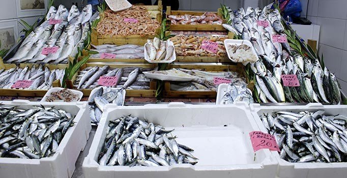 Sardalyanın fiyatı bir haftada yarıya düştü