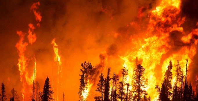 Trump'tan Rusya'ya Sibirya'daki yangın için yardım teklifi