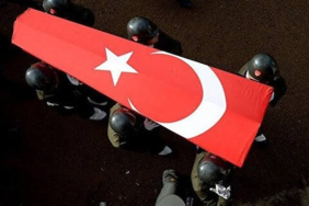 17069623441988917529