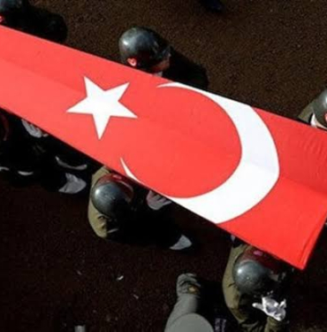 17069623441988917529