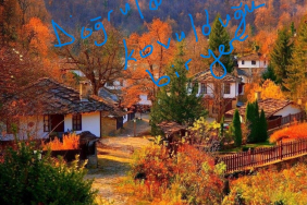 17082098841496519889