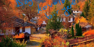 17082098841496519889