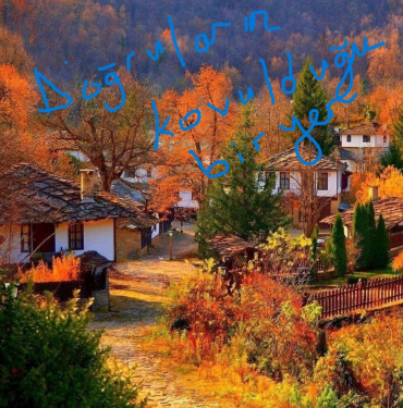 17082098841496519889