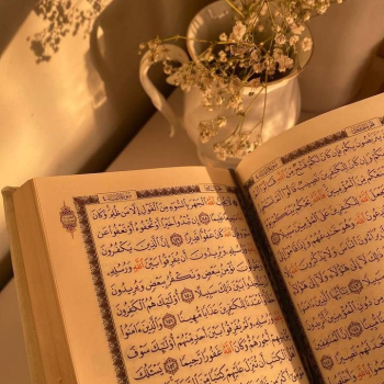 17083577101192257778