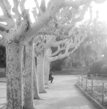 17141330062012934980