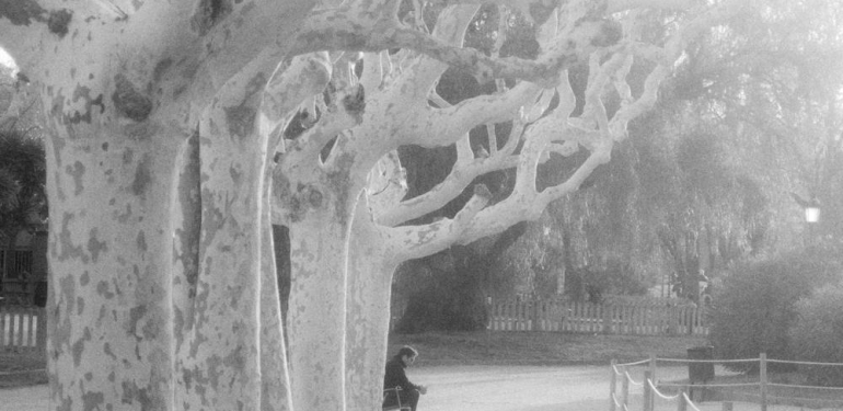 Gabriel García Márquez’ın Destansı Başyapıtı ‘Yüzyıllık Yalnızlık’, Bir Netflix Dizisi Olarak Hayat Buluyor