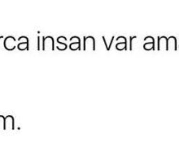 17175065201249093159